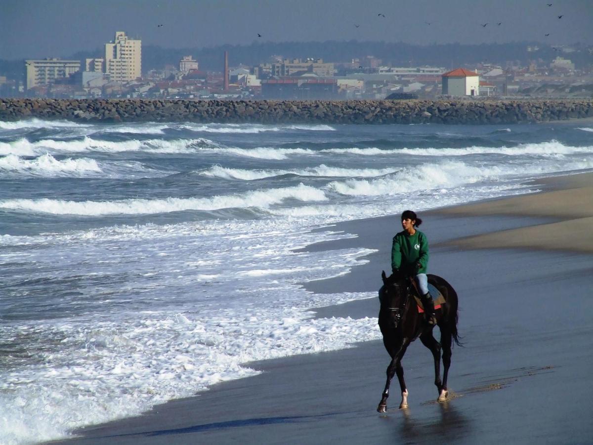 فندق إسموريزفي  Surfivor Surf Camp المظهر الخارجي الصورة